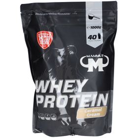 WHEY PROTEIN Crème au caramel