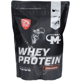 WHEY PROTEIN Chocolat