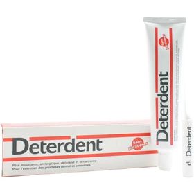 DETERDENT Pâte moussante pour prothèses dentaires