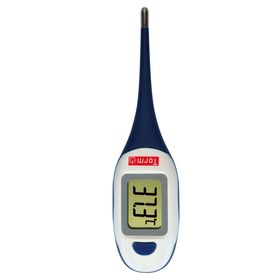 TORM Thermomètre grand écran