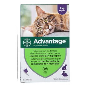 Frontline Spray™ - Anti-tiques, puces et poux pour chats et chiens - Merial  / Direct-Vet