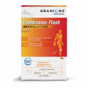 Granions® Chondrostéo® Flash Articulation