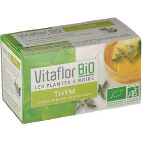 Vitaflor Bio Tisane minceur détox 20 pc(s) - Redcare Pharmacie