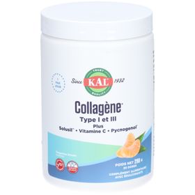 KAL Collagène Type I et III