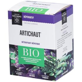 DAYANG Artichaut BIO