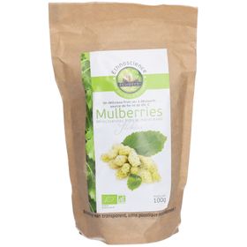 Ecoidées Mulberries blanches Bio