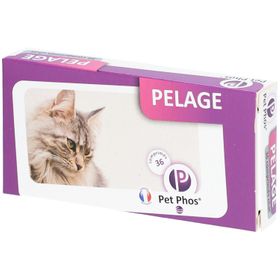 PET - phos pelage chat