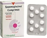 Spasmoglucinol Chat Chien