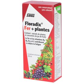 Floradix® Fer + plantes