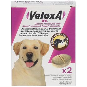 VeloxA XL Comprimé à croquer