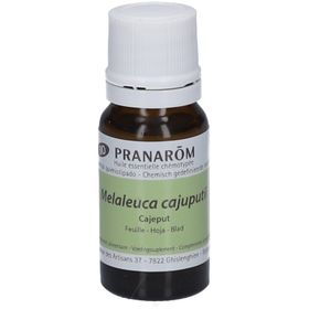 Pranarom Huile essentielle Cajeput Bio 100 % pure et naturelle
