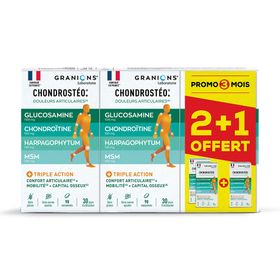 Laboratoire des GRANIONS® Chondrostéo®+ Articulations - 3 mois