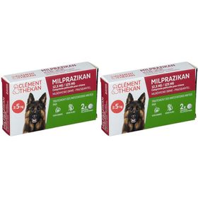 Clement Thekan Traitement Des Vers Plats Et Ronds Chien 2 Comprimés