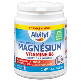 Alvityl Magnésium Vitamine B6 Libération Prolongée