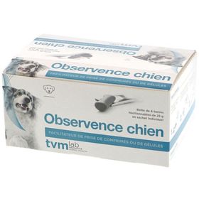 tvm Observence Chien