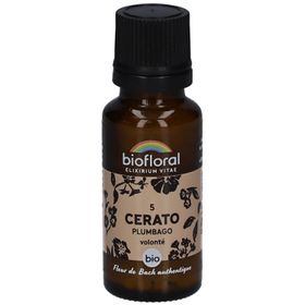BIOFLORAL Cerato - Plumbago - Bio