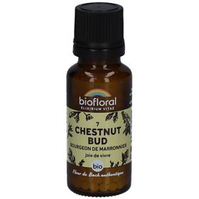 BIOFLORAL Chestnut Bud - Bourgeon de Marronnier - Bio