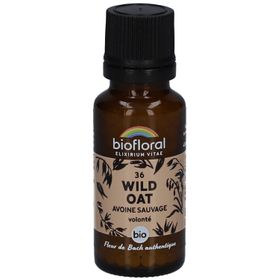 BIOFLORAL Wild Oat - Avoine Sauvage - Bio