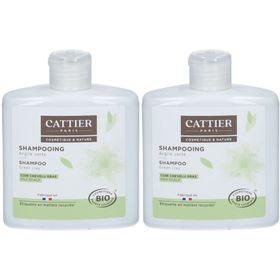 Cattier shampoing argile verte bio cuir chevelu gras