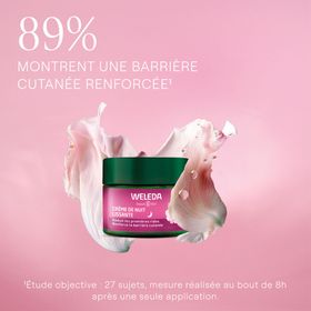 Weleda Crème de Nuit Lissante à la Rose Sauvage & Thé Blanc