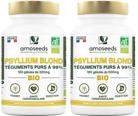 amoseeds PSYLLIUM BLOND BIO, TÉGUMENTS PURS À 99%