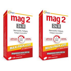 MAG 2 - 24H - MAXI PACK PROMO 4 MOIS - Complément alimentaire à base de magnésium, vitamine B6 et B12 - Anti-nervosité et anti-fatigue - 3+1 mois offert - Programme de 120 jours - 120 comprimés libération prolongée