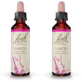 Fleurs de Bach® Larch