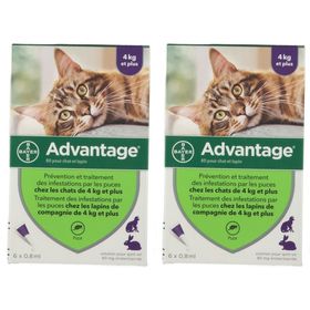 Advantage 80 pour chat et lapin