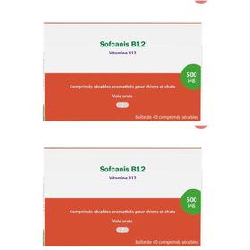 SOFCANIS B12 CPR 40 x2