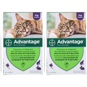 Advantage 80 pour chat et lapin