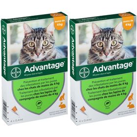 Advantage 40 pour chat et lapin