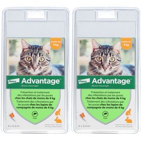 Advantage 40 pour chat et lapin