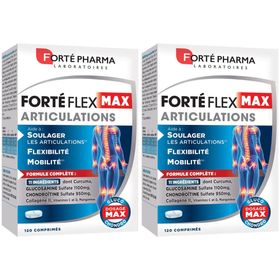 Forté Pharma Forté Flex Max Articulations