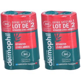 Dermophil Indien Réparation Lèvres Abîmées Bio Stick Lot de 2