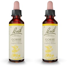 Fleurs de Bach® Original Gorse N° 13