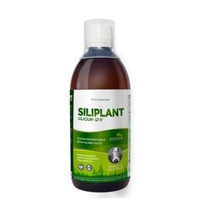 SILICIUM LABORATORIES Siliplant Silicium G7
