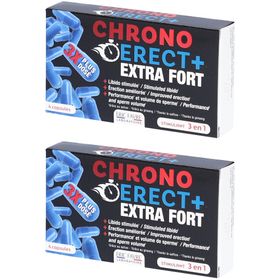 ERIC FAVRE Chrono Erect +