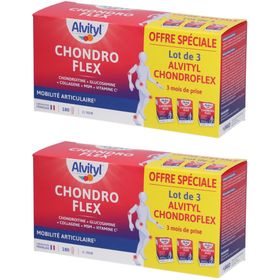 Alvityl Chondro Flex Lot de 3
