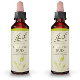 Fleurs de Bach® Original Chestnut Bud N° 7