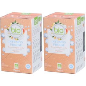 Nutrisanté Bio Infusion Froide Saveur Mangue-Pêche Digestion