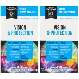DAYANG Vision & Protection