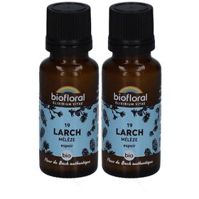 BIOFLORAL 19 Larch - Mélèze