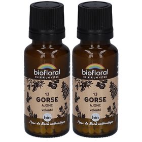 BIOFLORAL 13 Gorse - Ajonc