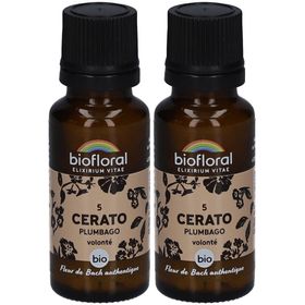 BIOFLORAL Cerato - Plumbago - Bio