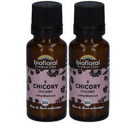 BIOFLORAL 08 Chicory - Chicorée