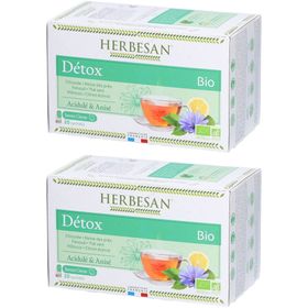 Herbesan Bio Détox - Chicorée, Reine des Prés, Fenouil, Thé Vert