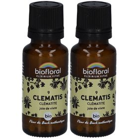 BIOFLORAL Clematis - Clématite - Bio