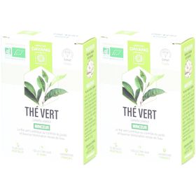 DAYANG Thé vert BIO