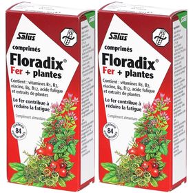 SALUS Floradix Fer + Plantes