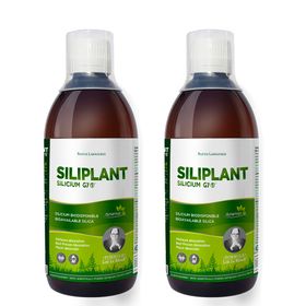 SILICIUM LABORATORIES Siliplant Silicium G7 2 x 500 ml